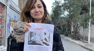 Çalınan köpeğini geri almak için mücadele başlattı