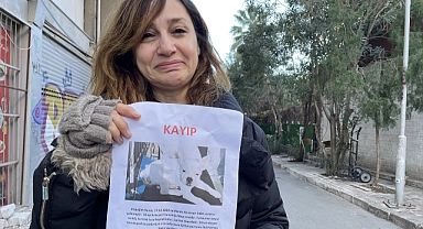 Çalınan köpeğini geri almak için mücadele başlattı