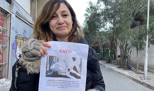 Çalınan köpeğini geri almak için mücadele başlattı