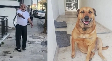 Köpek öldürülmesiyle ilgili dava da karar açıklandı