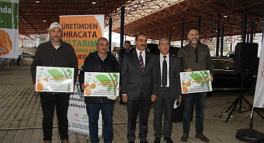 Mandalina rekoltesi yüzde 100’ün üzerinde arttı