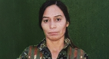 PKK/YPG'nin sözde sorumlusunu Suriye'nin kuzeyinde etkisiz hale getirdi