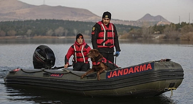 Su altı arama köpekleri Jandarma'nın en büyük yardımcısı