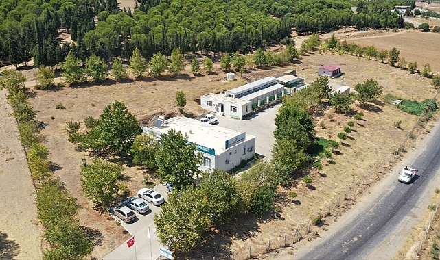 Torbalı'daki barınakta bu yıl 100 hayvan yeni evlerine kavuştu