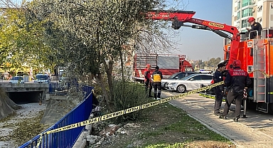 Zeytin toplamak için çıktığı ağaçtan düşen kişi öldü