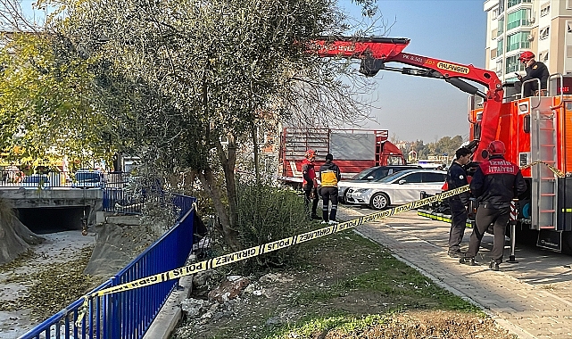 Zeytin toplamak için çıktığı ağaçtan düşen kişi öldü