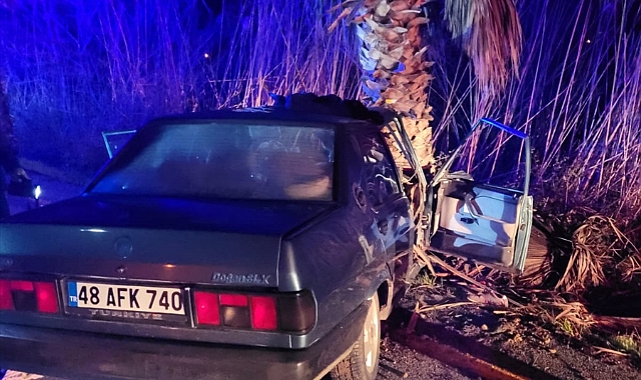Ağaca çarpan otomobildeki 1 kişi öldü, 1 kişi yaralandı