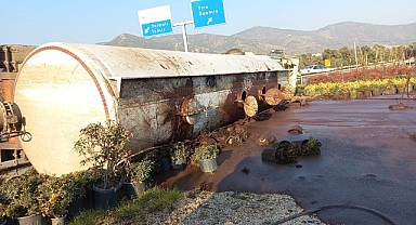 Bayındır'da pirina yüklü tır çiçek serasına devrildi