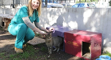 Bayraklı Belediyesi can dostları unutmadı