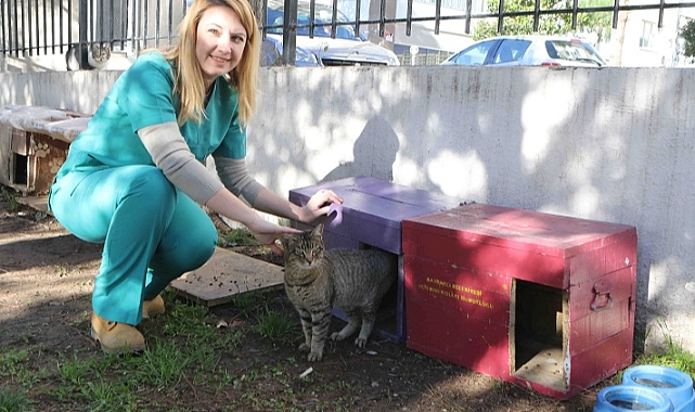 Bayraklı Belediyesi can dostları unutmadı