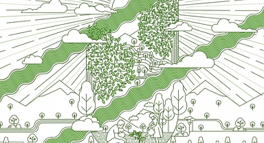 Bir Fidan Bir Dünya ile ağaçlandırma çalışmaları başlıyor