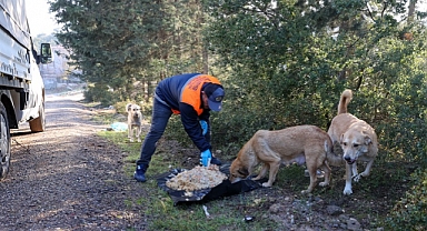 Buca Belediyesi’nin atık yemek seferberliği