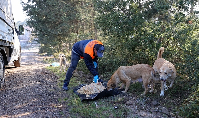 Buca Belediyesi’nin atık yemek seferberliği
