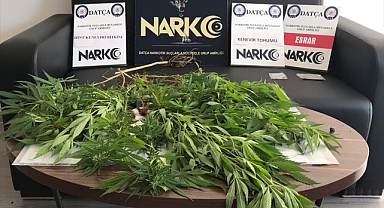 Datça'da uyuşturucu operasyonunda bir şüpheli yakalandı