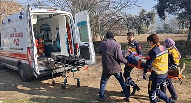 İzmir'de ağaçtan düşen kişi yaralandı
