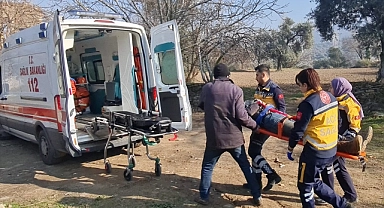 İzmir'de ağaçtan düşen kişi yaralandı
