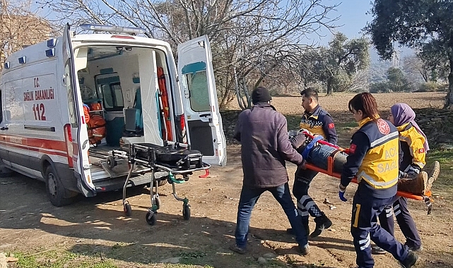 İzmir'de ağaçtan düşen kişi yaralandı