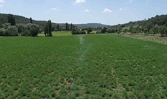 Uşak’ta Yatırım Seferberliği