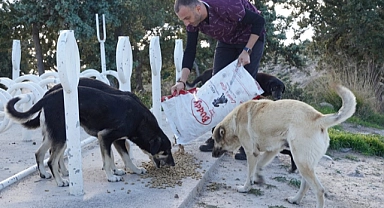 Çeşme Belediyesi soğuk havalarda sokak hayvanlarını unutmuyor