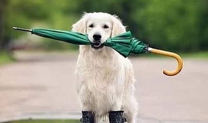 İzmir’de Fırtınaya Dikkat!