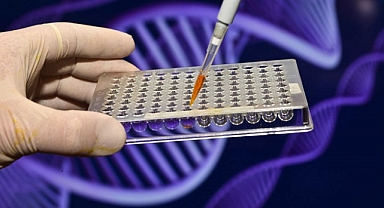 ‘Moleküler testler kanser tedavisinde mutlak yer almalı’