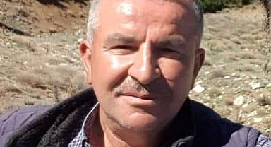 Denizli'de kestiği ağacın altında kalan kişi hayatını kaybetti