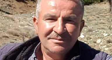 Denizli'de kestiği ağacın altında kalan kişi hayatını kaybetti