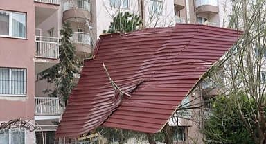 Denizli ile İzmir'de etkili olan lodos ve sağanak hayatı olumsuz etkiledi