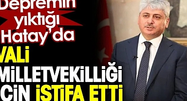 Hatay Valisi istifa etti