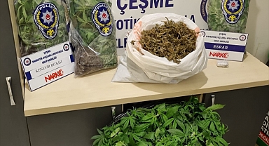 İzmir'de evde kurulan serada Hint keneviri yetiştiren 2 kişi tutuklandı