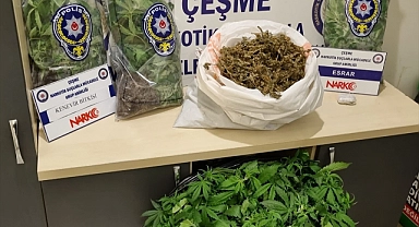 İzmir'de evde kurulan serada Hint keneviri yetiştiren 2 kişi tutuklandı