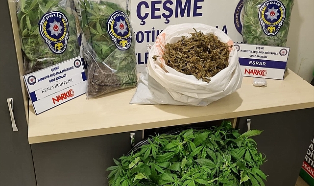 İzmir'de evde kurulan serada Hint keneviri yetiştiren 2 kişi tutuklandı