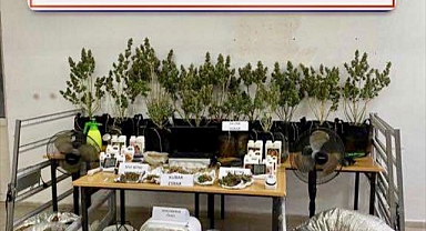 Muğla'da uyuşturucu operasyonunda 1 şüpheli yakalandı