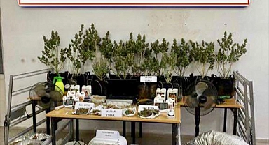 Muğla'da uyuşturucu operasyonunda 1 şüpheli yakalandı