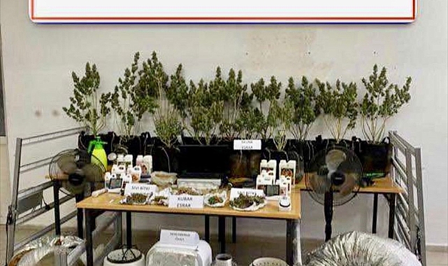 Muğla'da uyuşturucu operasyonunda 1 şüpheli yakalandı