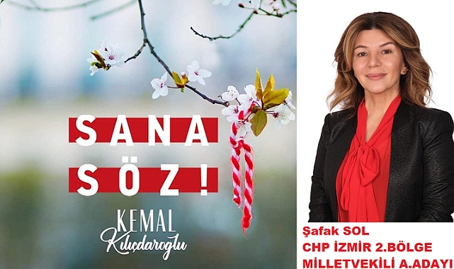 Sol'Kadınları yalnızca  seçmen olarak görmeyin'