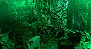 Kuşadası'nda evinde uyuşturucu yetiştiren kişi gözaltına alındı