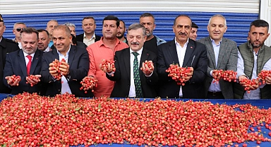 Manisa'da sezonun ilk kirazı, kilogramı 800 liradan satıldı