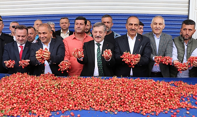 Manisa'da sezonun ilk kirazı, kilogramı 800 liradan satıldı