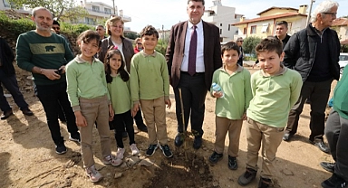 Menderes Sakız Ağaçlarıyla Süslenecek