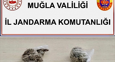 Muğla'da uyuşturucu operasyonlarında 2 şüpheli gözaltına alındı