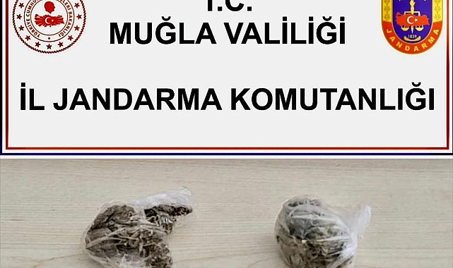 Muğla'da uyuşturucu operasyonlarında 2 şüpheli gözaltına alındı