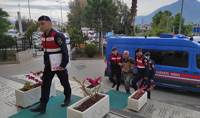Tartıştığı gelinini  öldüren zanlı tutuklandı