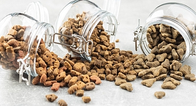 Zeytin ve zeytinyağı ihracatı 1 milyar dolara koşuyor