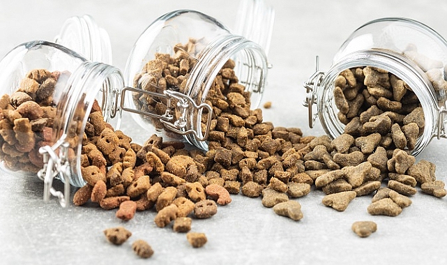 Zeytin ve zeytinyağı ihracatı 1 milyar dolara koşuyor