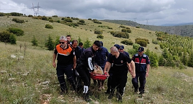 75 yaşındaki kadın ormanlık alanda bulundu