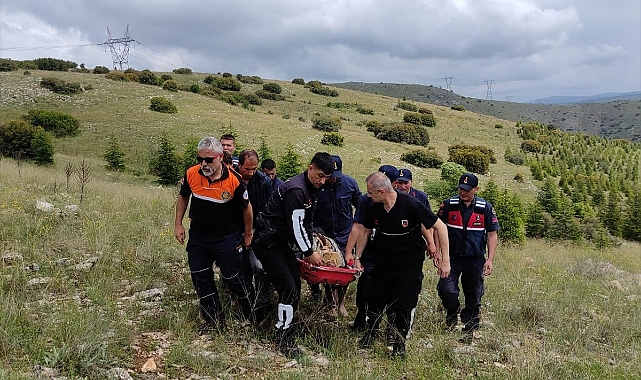 75 yaşındaki kadın ormanlık alanda bulundu