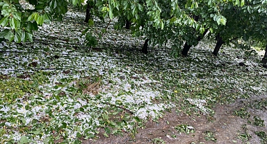 Denizli'de dolu yağışı etkili oldu