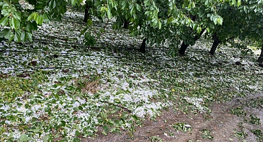 Denizli'de dolu yağışı etkili oldu