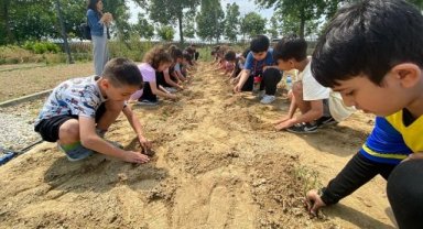 Efes Selçuklu çocuklar fideleri toprakla buluşturuyor